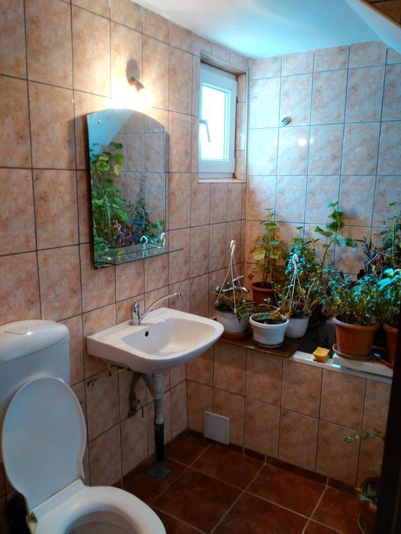 Vila Marcela Buşteni 部屋 写真