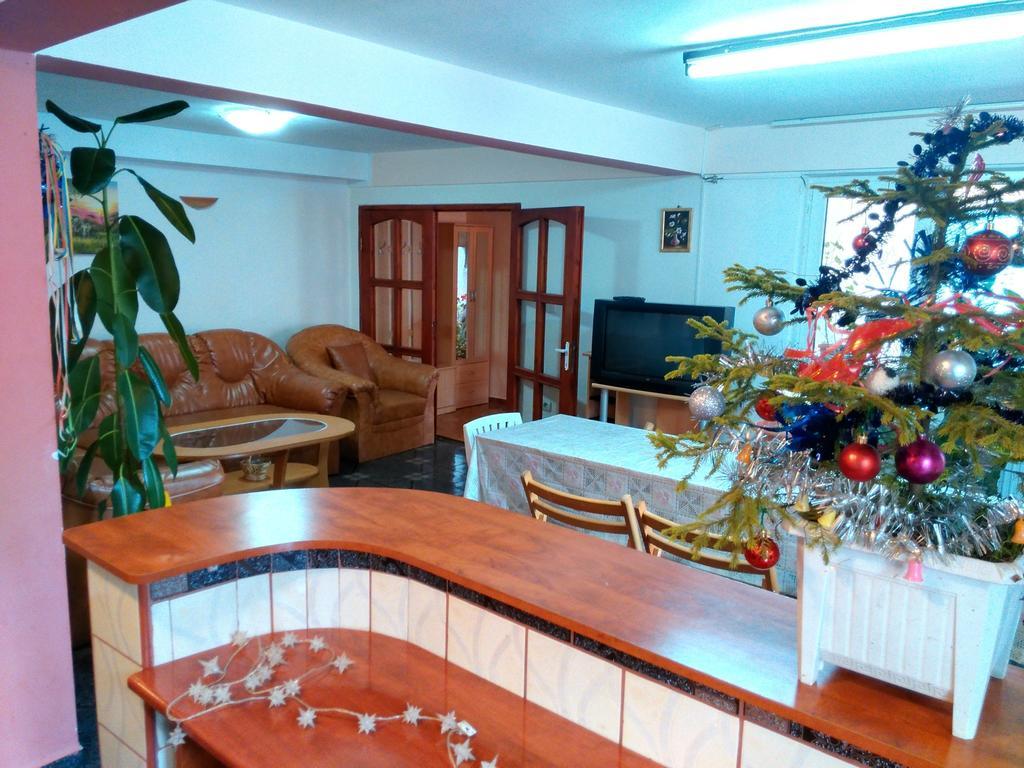 Vila Marcela Buşteni 部屋 写真
