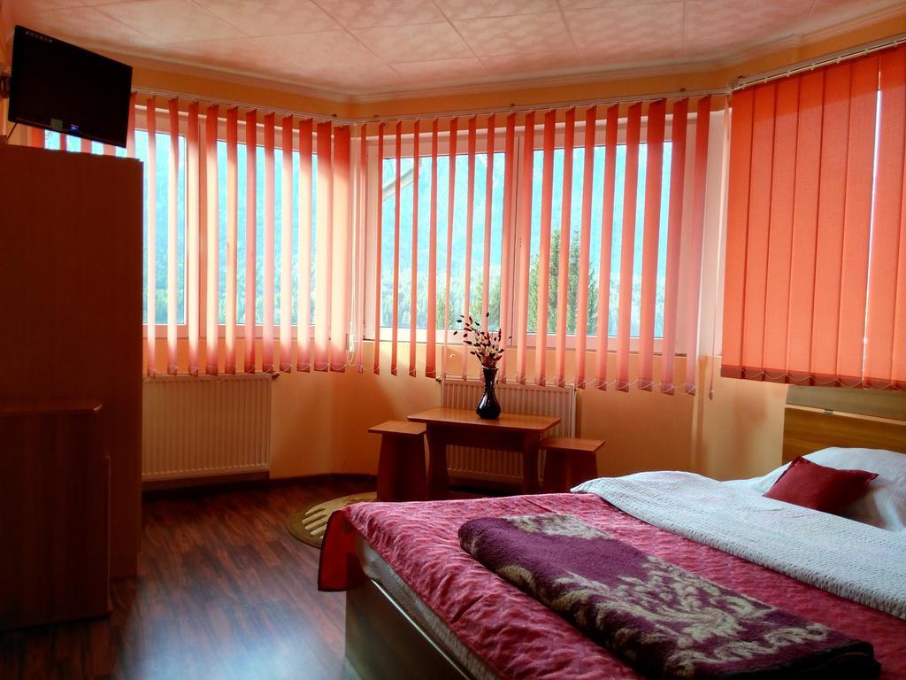 Vila Marcela Buşteni 部屋 写真