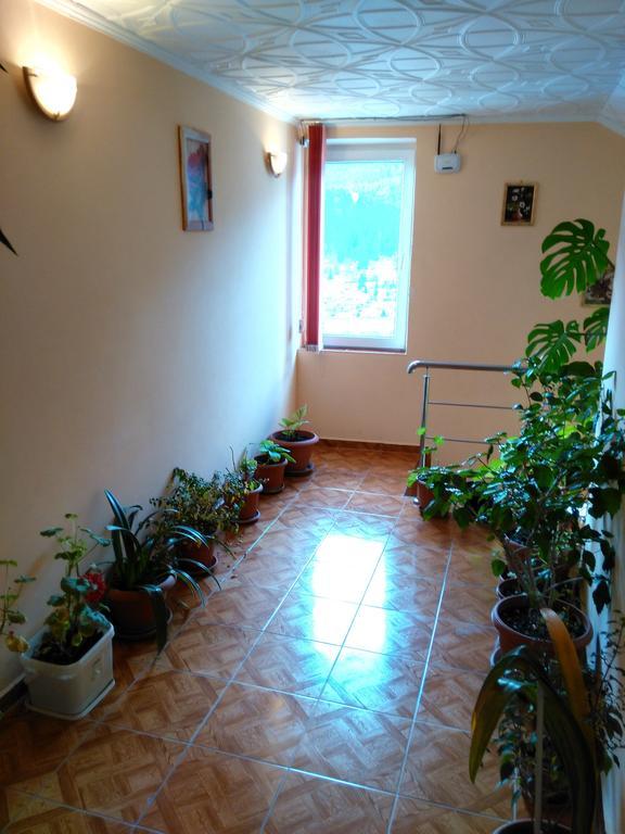 Vila Marcela Buşteni 部屋 写真
