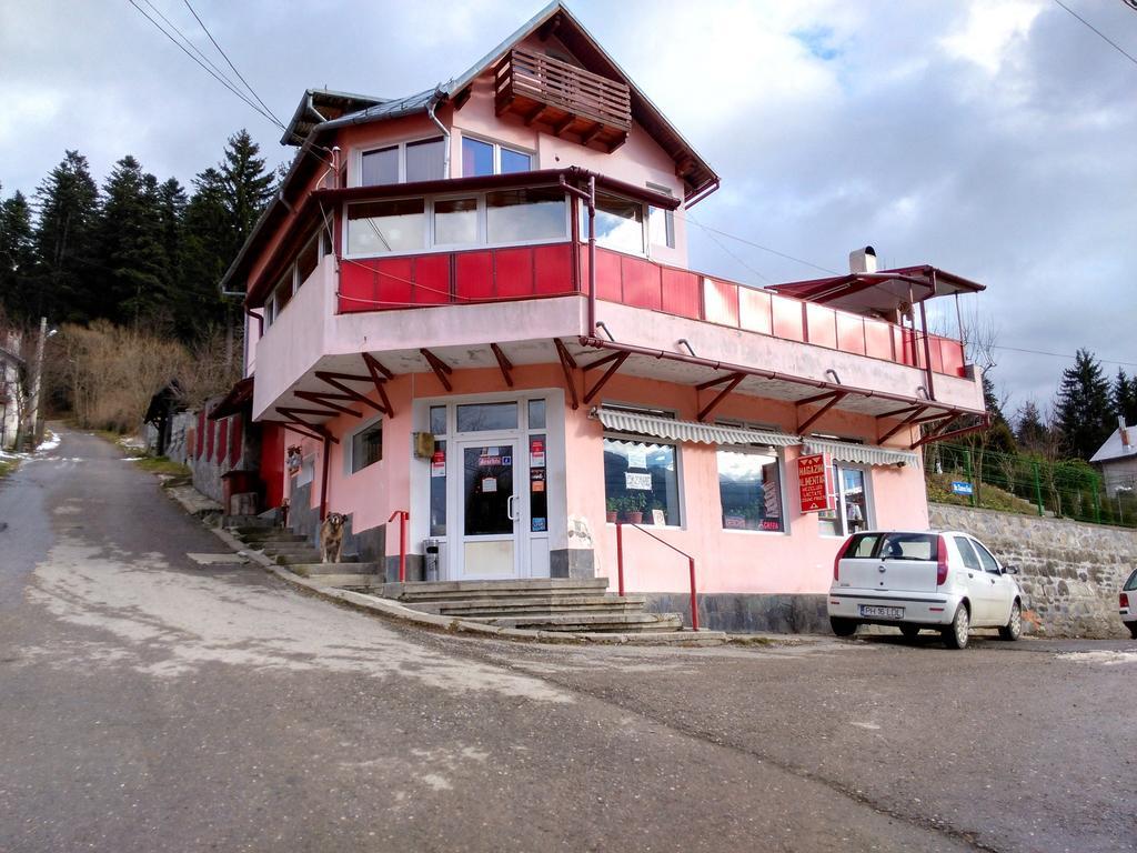 Vila Marcela Buşteni エクステリア 写真